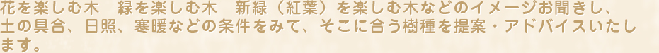 花を楽しむ木　緑を楽しむ木　新緑（紅葉）を楽しむ木などのイメージお聞きし、土の具合、日照、寒暖などの条件をみて、そこに合う樹種を提案・アドバイスいたします。