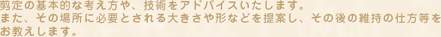 また、全体を見てその場所に必要とされる木の大きさや形などをアドバイスいたします。