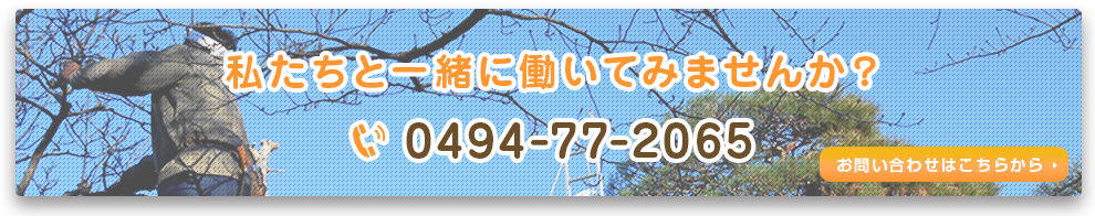 私たちと一緒に働きませんか？